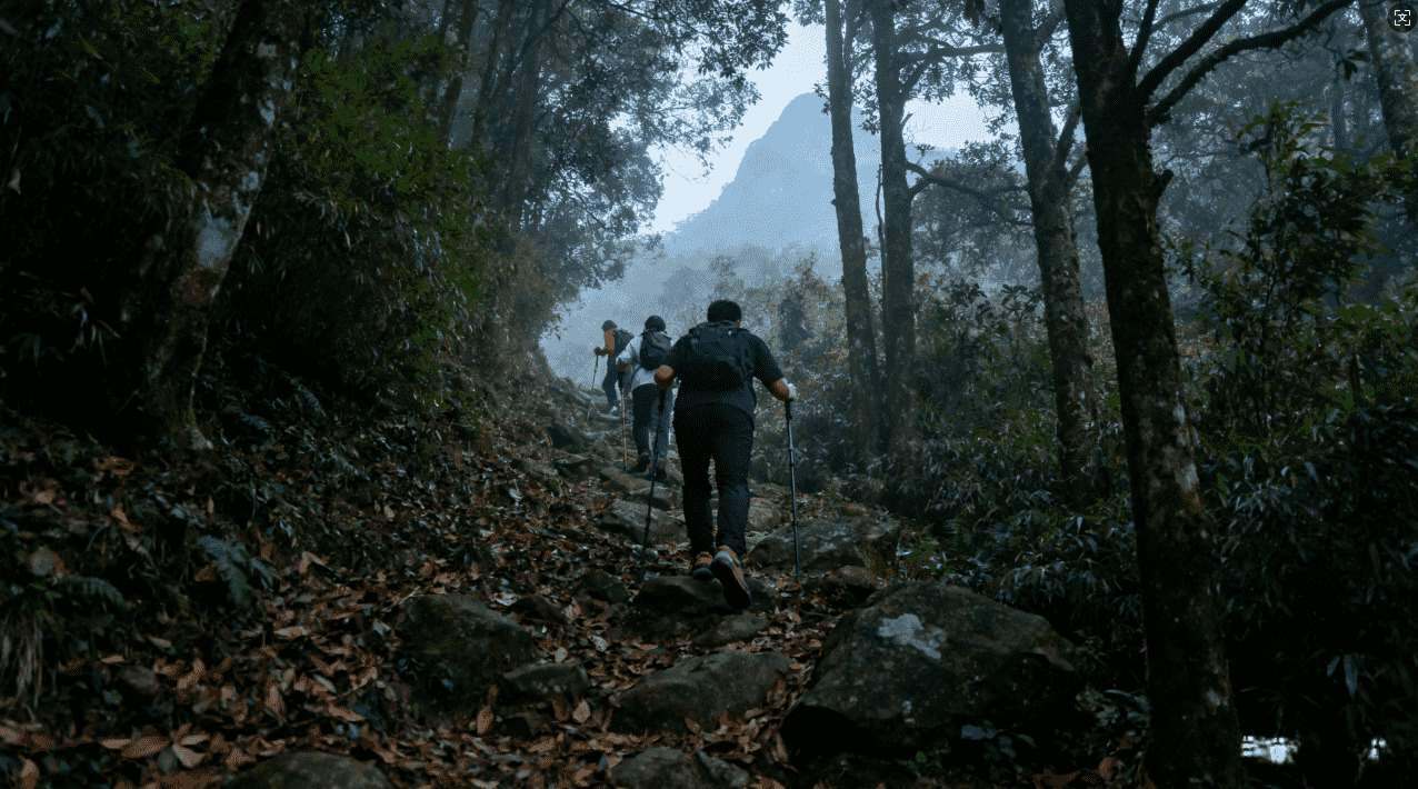 原子加速器主要应用领域有哪些